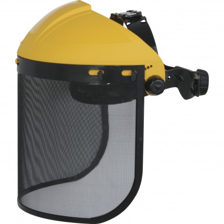 PICO 2